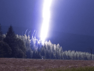 Trees Being Struck by Lightning