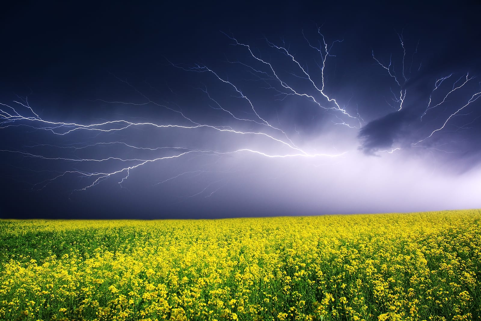 Lightning protection codes standards and regulations