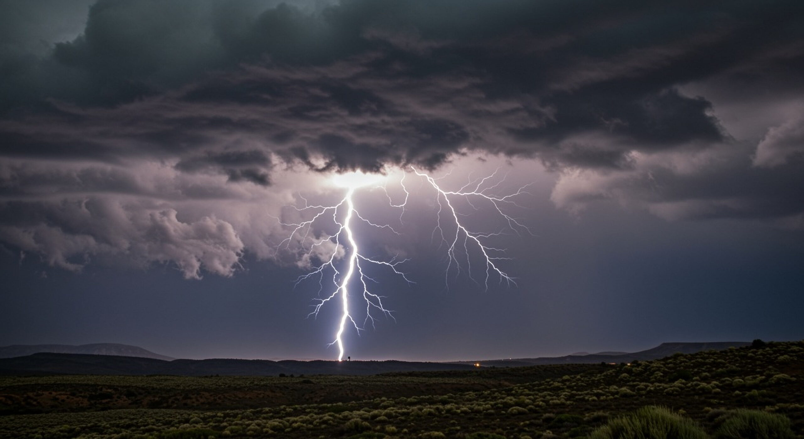 Shutterstock 2637787837 (1)